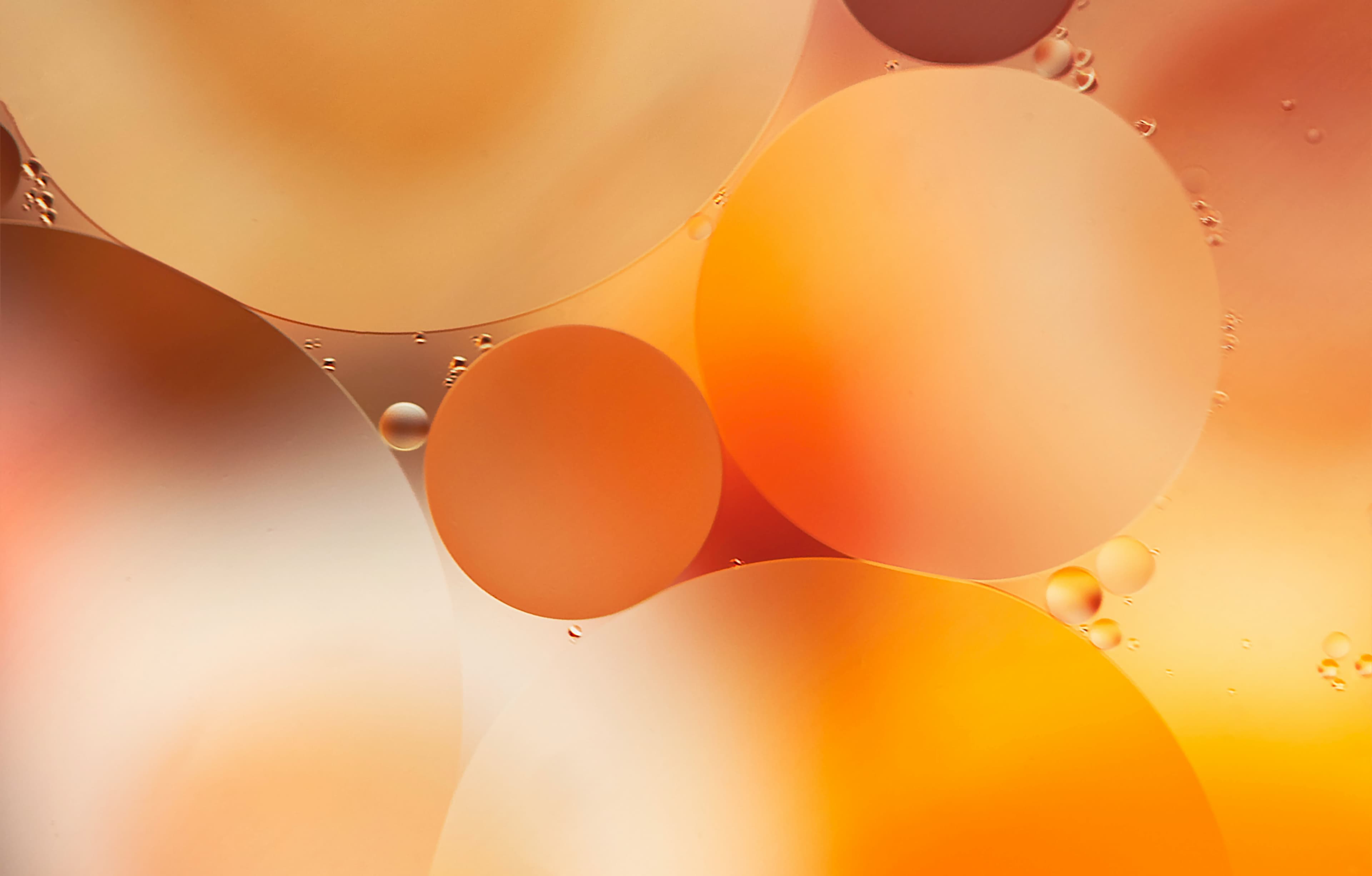 Insights background